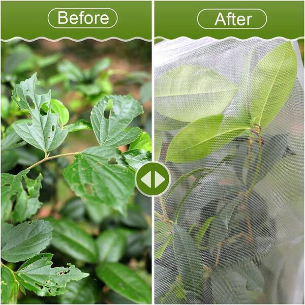 Agfabric 72x72 Inch Plant Cover With Zipper – Fruit Tree Netting Mesh Bag, Pest Barrier, White PE