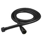 Amarilis 59 in. Handheld Shower Hose in Matte Black