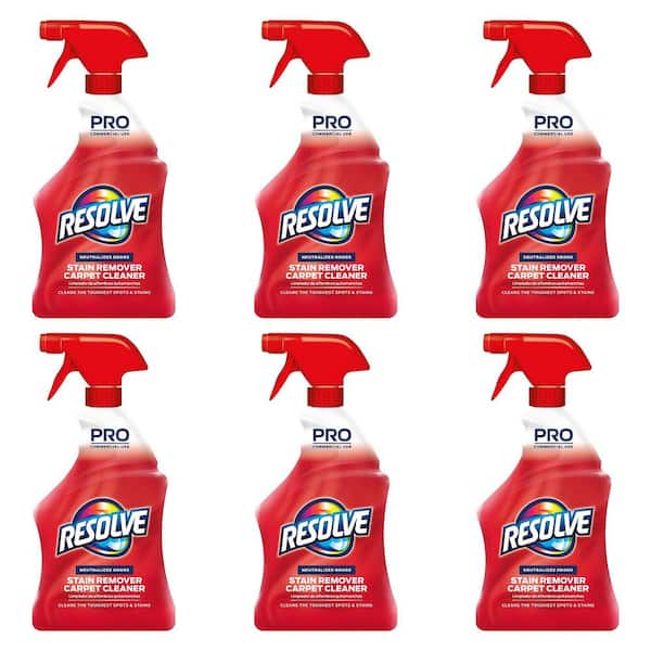 32 oz. Professional Carpet Cleaner and Stain Remover Spray (6-Pack)