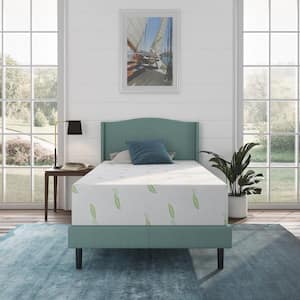 Anula Twin Medium Green Tea Memory Foam 12 in. Mattress