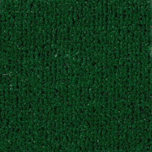 TrafficMaster 8 in. x 8 in. Texture Carpet Sample - Toulon - Color Spanish Moss