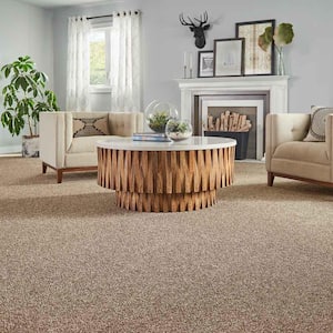 Maisie I  - Contessa - Beige 42 oz. Triexta Texture Installed Carpet
