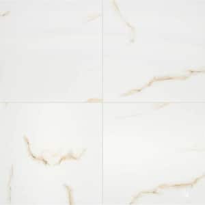 White Calacatta Bianco 24 in. x 24 in. Polished Porcelain Floor and Wall Tile (4 sq. ft./Each)