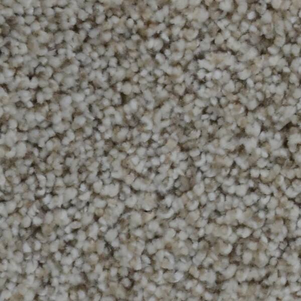 Home Decorators Collection Stargazer Mission Beige 32 oz. SD