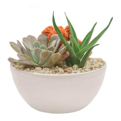 Orange Desert Gems Garden in 6 in. Gloss Ceramic Bowl