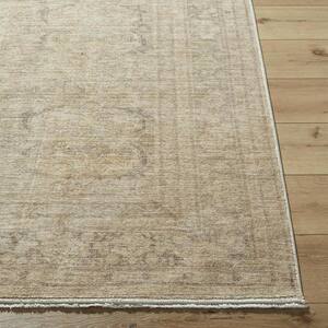 Fetscher Dusy Sage Traditional 2 ft. x 4 ft. Indoor Area Rug