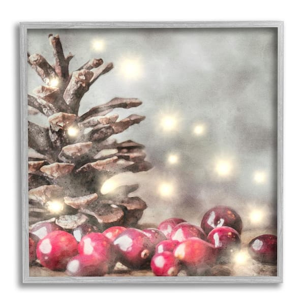 Stupell Industries Woodland Holiday Pinecone by LSR Design Studio 1-Piece Framed Graphic Print Animal Poster Art Print 17 in. x 17 in.