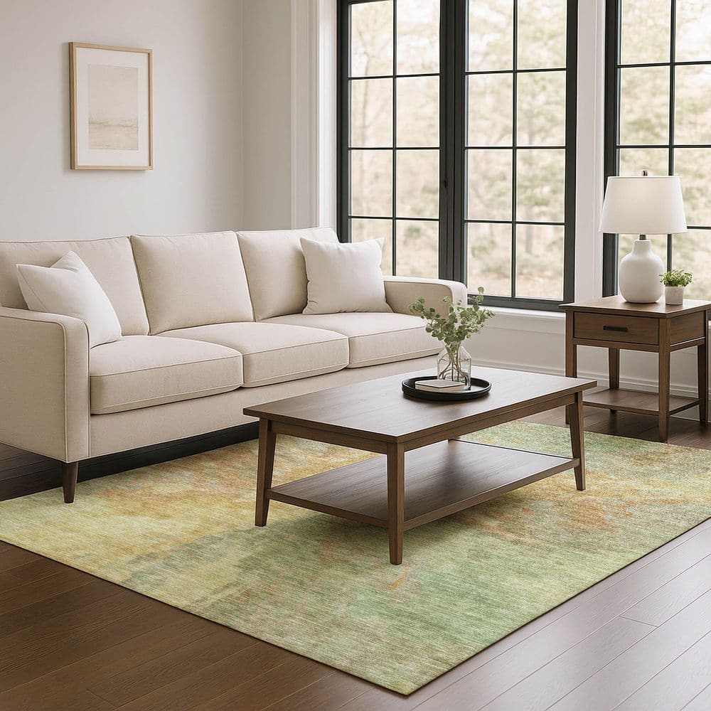 Mayfield Premium Machine Washable Abstract AMF1632 Aloe 3 ft. x 4 ft. Area Rug price history on PriceWatchPro