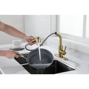 Single-Handle Deck Mount Pull Out Sprayer Kitchen Faucet with Deckplate Included in Brushed Gold