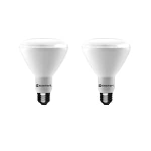 75-Watt Equivalent BR30 Dimmable Energy Star LED Light Bulb, Soft White (2-Pack)