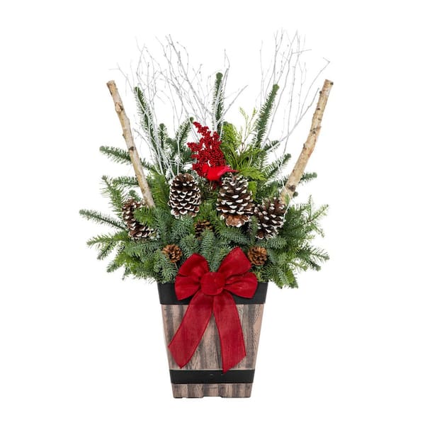 4 Gal. 11 In. Square Holiday Greenery Arrangement in Decorative Barrel with Mixed Cut Greens Live Plant