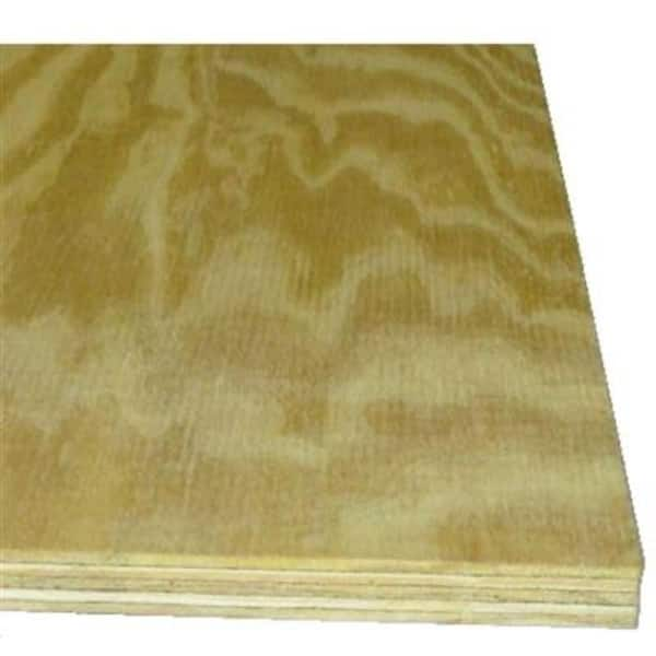 Unbranded 1/2 in. x 2 ft. x 4 ft. Pressure-Treated Douglas Fir Plywood Project Panel