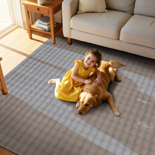 Aurora 5 ft. x 7 ft. Grey Non-Slip Rubber Back Washable Polyester Checker Indoor Area Rug