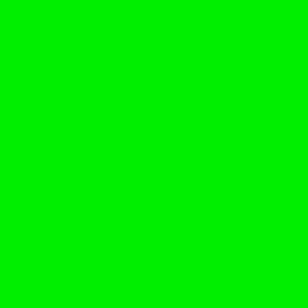 x1 High Coverage Rust-Oleum Fluorescent Green Spray Paint Neon