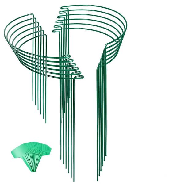 12-Pack 24 in. Plant Support Stakes with 15-Piece Twist Ties for Indoor Plants