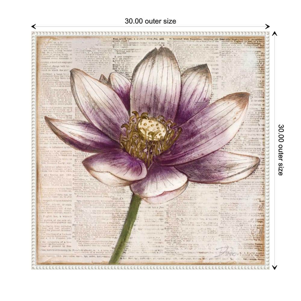 Patricia Pinto Framed Lotus Flower Canvas Art with Beaded Perimeter