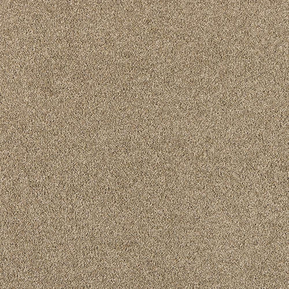 8 in. x 8 in. Texture Carpet Sample - Tailored Trends III -Color Modern price history on PriceWatchPro