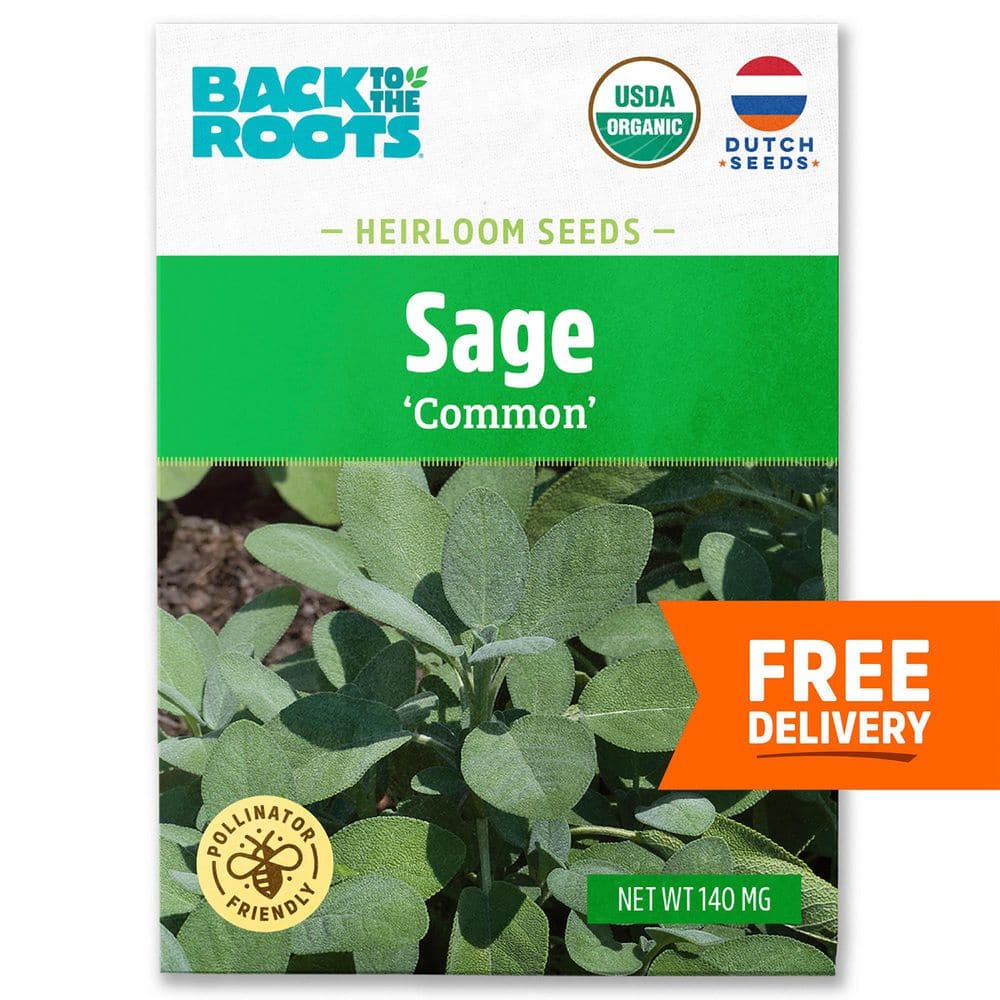 Organic Common Sage Seed (1-Pack) price history on PriceWatchPro