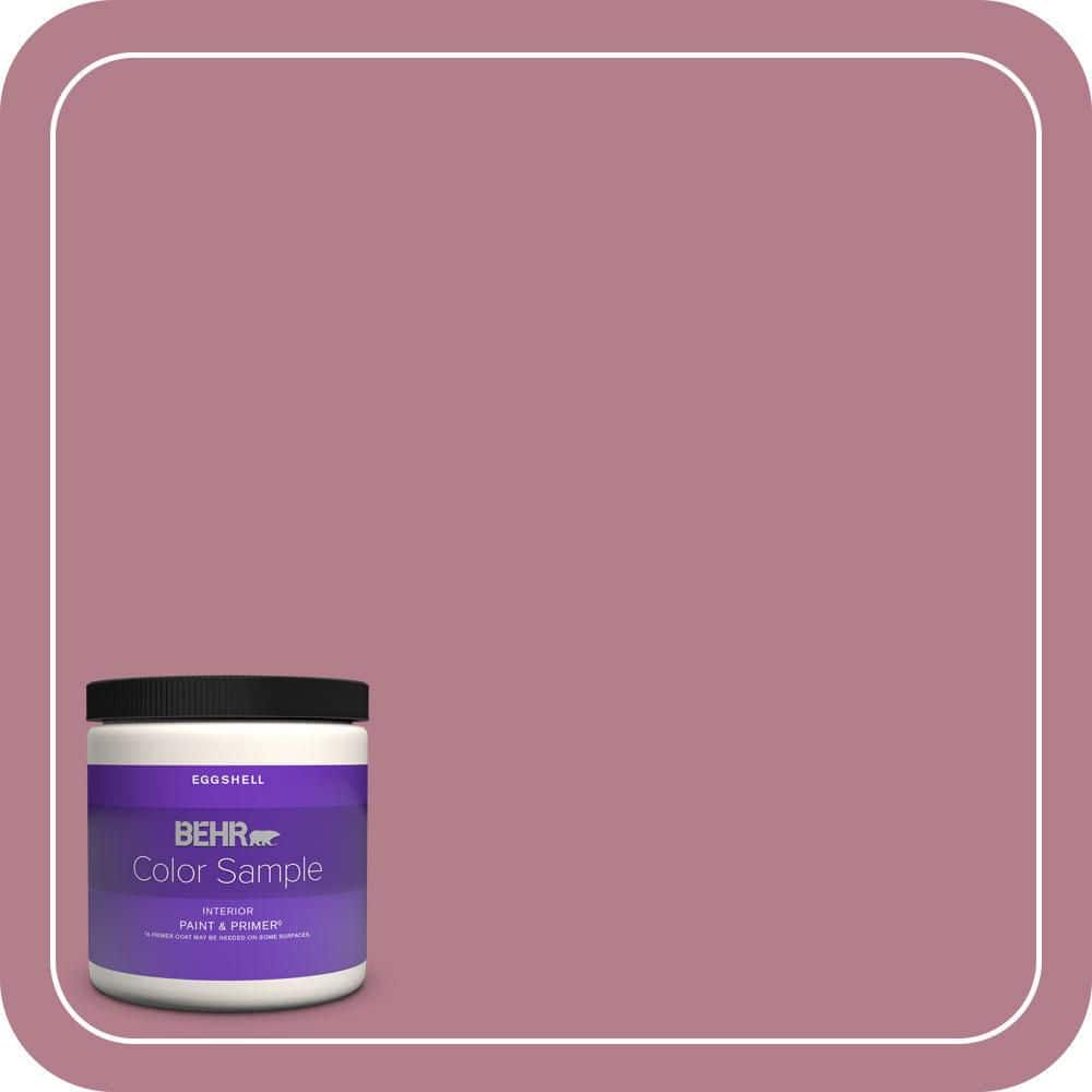8 oz. #100D-4 Degas Pink Eggshell Enamel Interior Paint & Primer Color Sample price history on PriceWatchPro