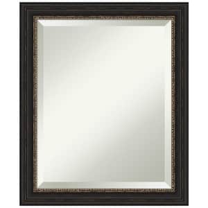 Accent Bronze Narrow 19.5 in. H x 23.5 in. W Framed Wall Mirror