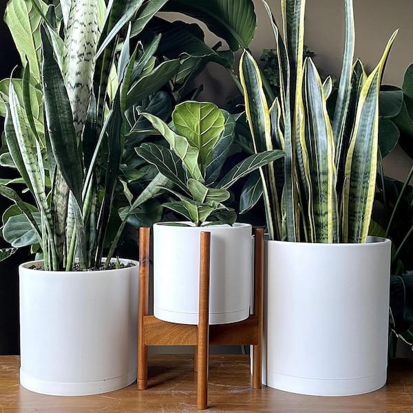 8/10/12 In Large White Plastic Round Planter Set (3-Pack