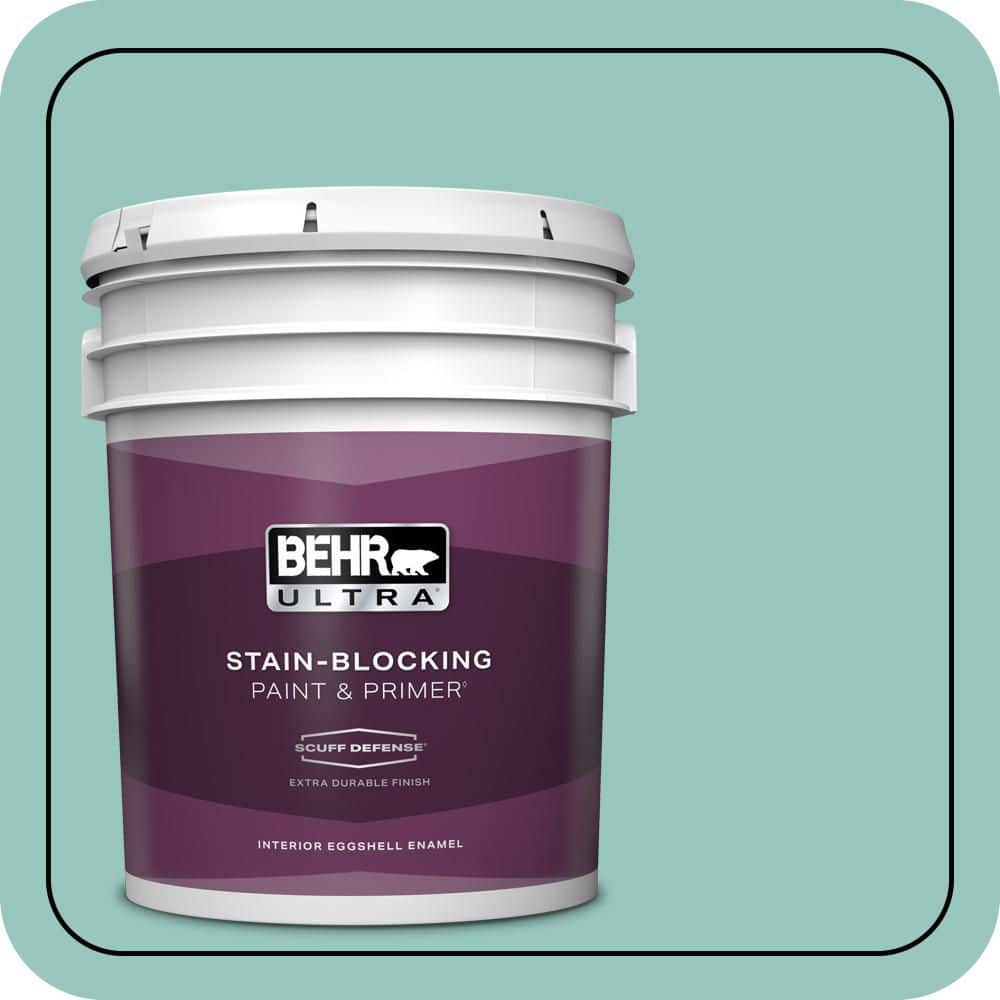5 gal. #490D-4 Eucalyptus Leaf Extra Durable Eggshell Enamel Interior Paint & Primer price history on PriceWatchPro