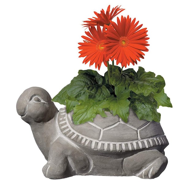Large Natural Cement Turtle Planter