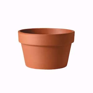 5.9 in. x 4.3 in. Terracotta Clay Azalea Pot