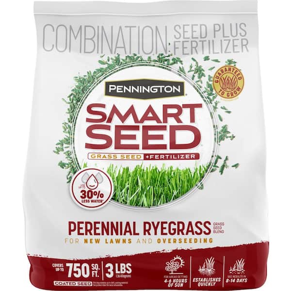 Pennington Smart Seed Perennial Ryegrass 3 lb. 750 sq. ft. Grass Seed Blend and Lawn Fertilizer