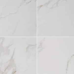 Carrara 24 in. x 24 in. Polished Porcelain Floor and Wall Tile (16 sq. ft./case)