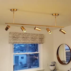 Vortex 4 ft. 5-Light Gold Fixed Track Lighting Kit