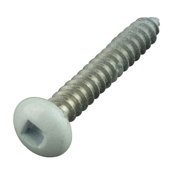 Everbilt #10 1-1/4 in. Philips Pan-Head Square White Stainless Steel Sheet Metal Screws (8-Pack)
