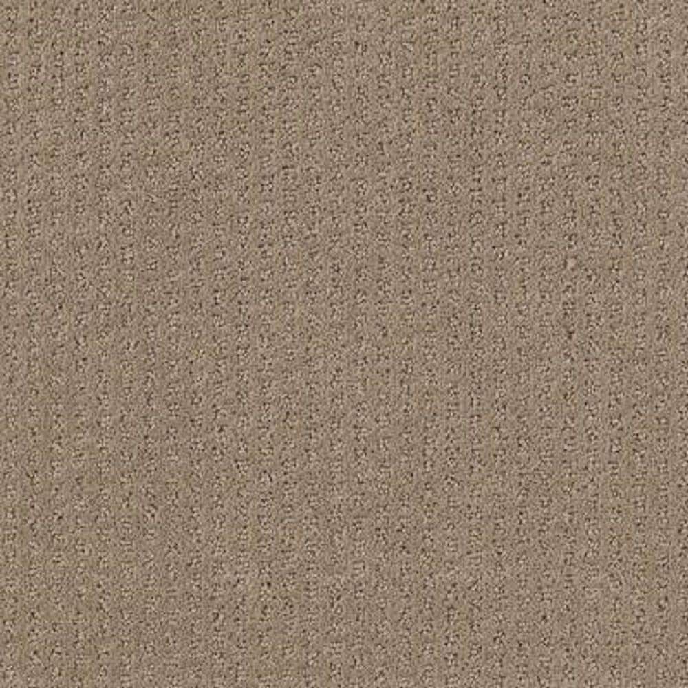 8 in. x 8 in. Pattern Carpet Sample - Sequin Sash -Color Woodland price history on PriceWatchPro