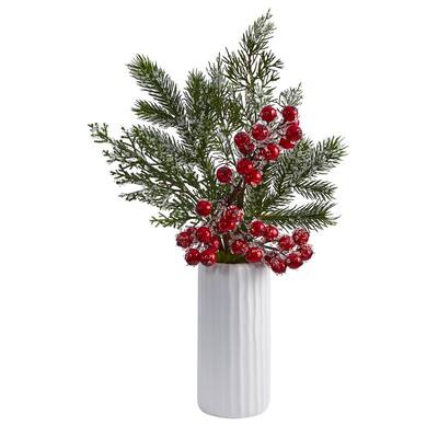 Norfolk Pine Christmas Plants Indoor Christmas Decorations The Home Depot
