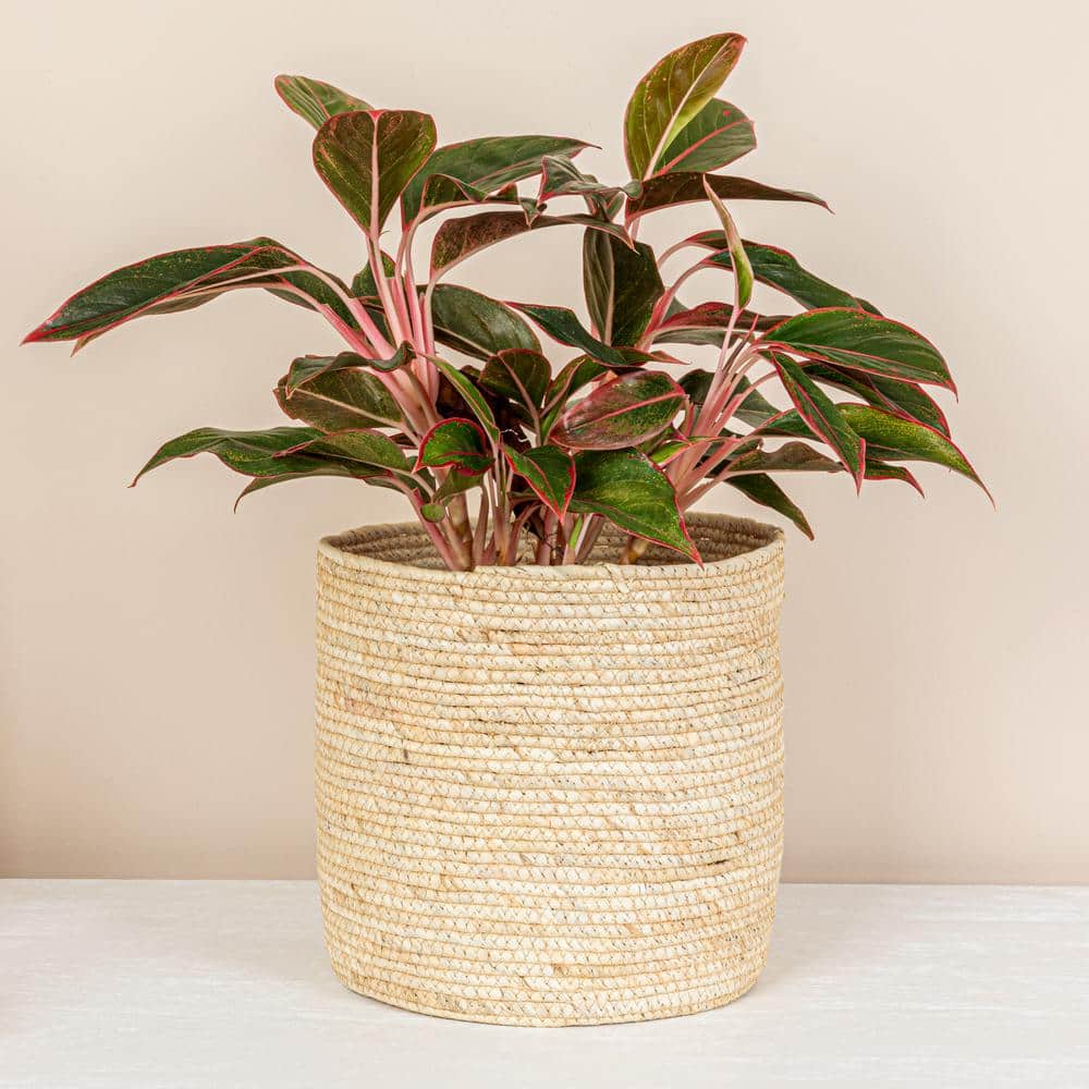 Natural Handwoven Corn Leaf Round Storage Basket