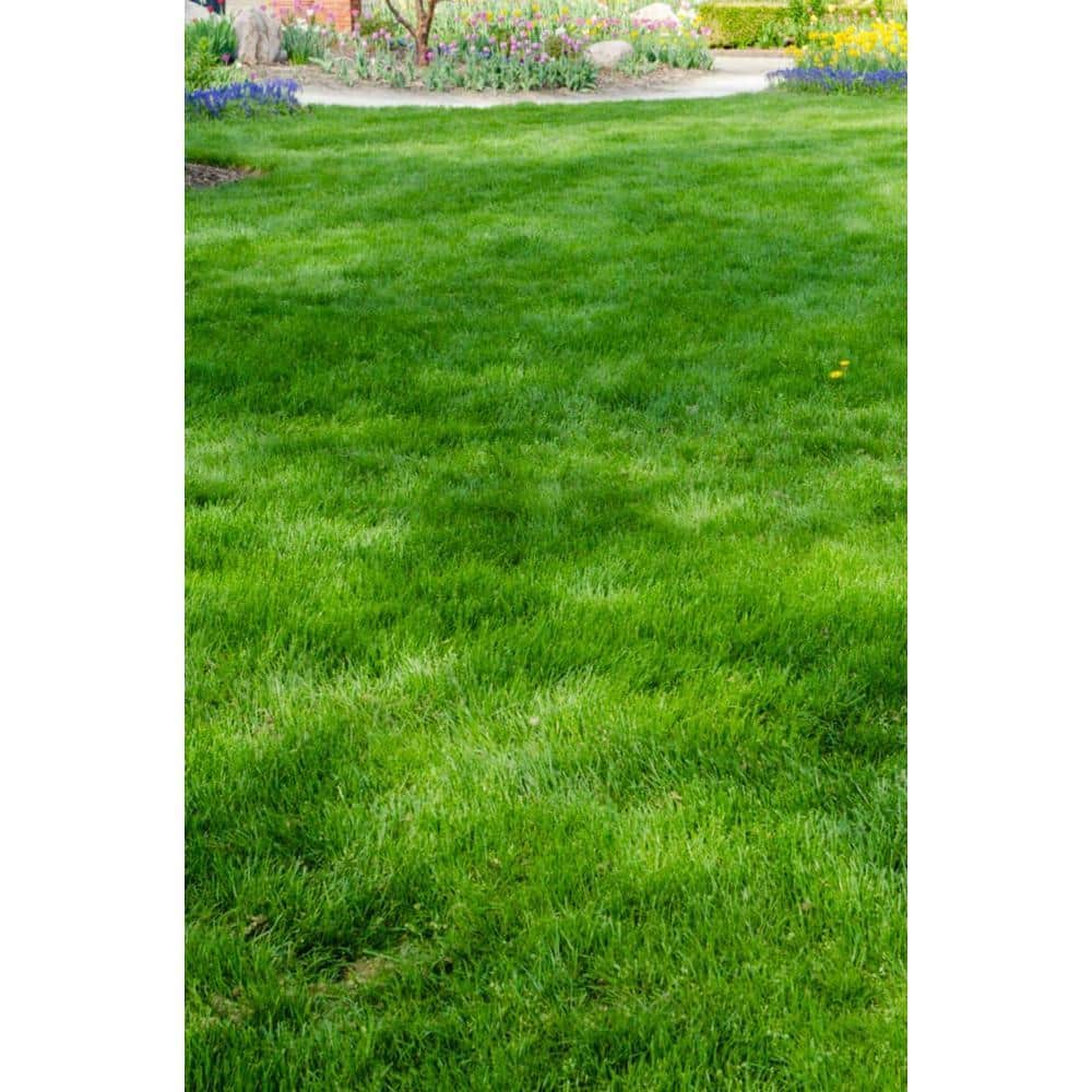 gardens-alive-grass-seed-4340-