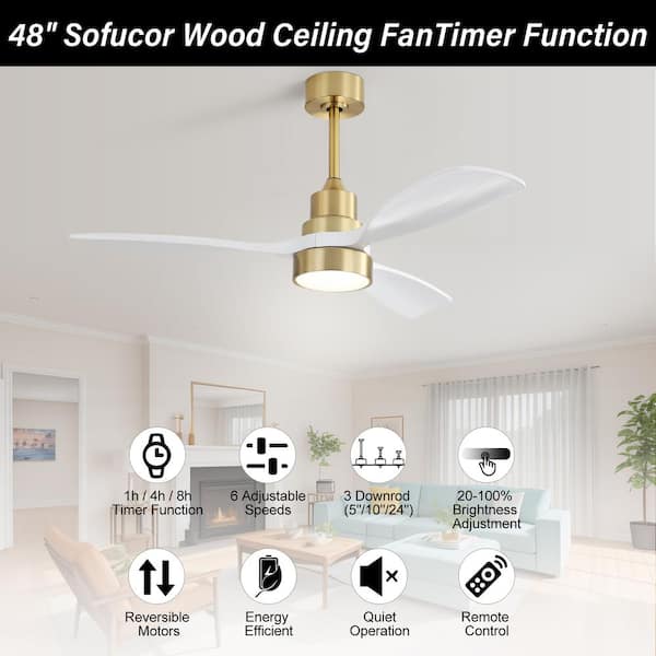 Sofucor 48 in. LED Indoor/Outdoor Wood Gold Ceiling Fan with Light