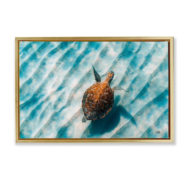 Sandbar Sea Turtle by Max Blakesberg Studios Gold Floater Frame Animal Graphic Art Print 21 in. x 31 in.