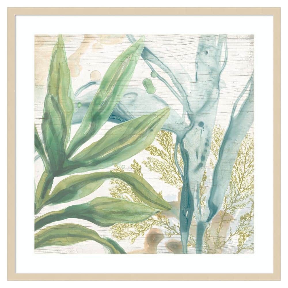 Quiet Coastal Collage II 33" Framed Abstract Botanical Print in Natural Wood