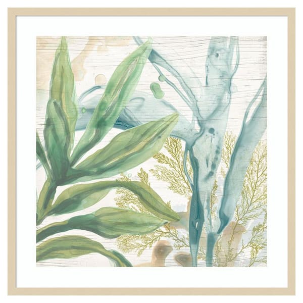 Amanti Art Quiet Coastal Collage II by June Erica Vess 33 in. W x 33 in. H. Wood Framed Wall Art Print Framed in Brown