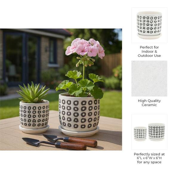 plants for 6 inch pots 6 inch black plastic pot – Plantncr main image 1
