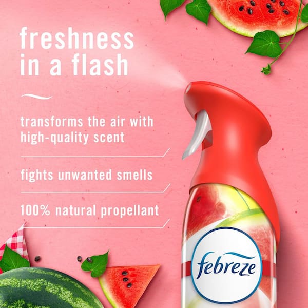 Air Mist 8.8 oz. Sweet Watermelon Vine Scent Air Freshener Spray (2-Count)