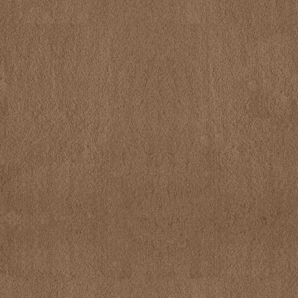 8 in. x 8 in. Texture Carpet Sample-Dreamy Daze I-Color Tawny price history on PriceWatchPro