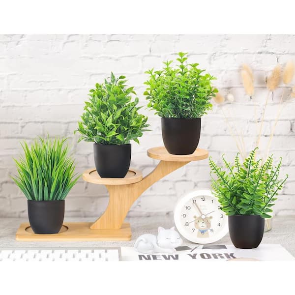 where can i purchase a aloe vera plant Aloe, Bright Direct Sunlight, Indoor Live House Plants, Dcor Pot, Size: Small, Green main image 0