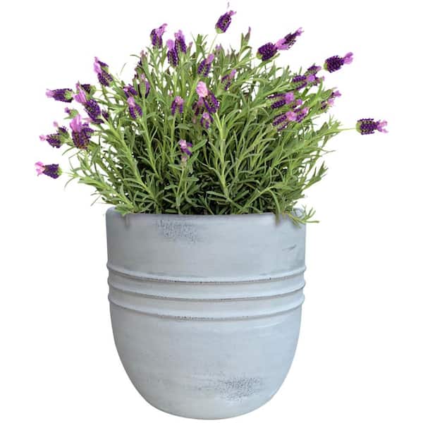 extender hooks for hanging plants Living Accents - 58046 main image 1
