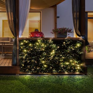 Sakura 34 in. x 76 in. Expandable Trellis with Lights (1-Pack)