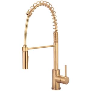 Single Handle Pre-Rinse Spring Pull Down Sprayer Kitchen Faucet in Brushed Gold