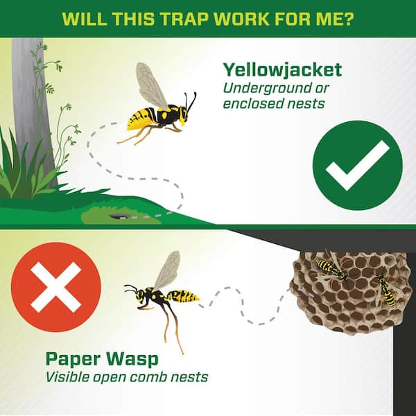 RESCUE Yellow Jacket Trap Attractant Cartridge YJTC-DB9 - The Home Depot
