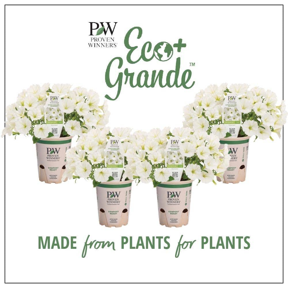 花 udontondon PROVEN WINNERS 4-Pack, 4.25 in. Eco+Grande Supertunia Vista