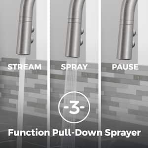 Zanna Pull Down Sprayer Kitchen Faucet with Deckplate and Soap Dispenser in Spot Defense Stainless Steel